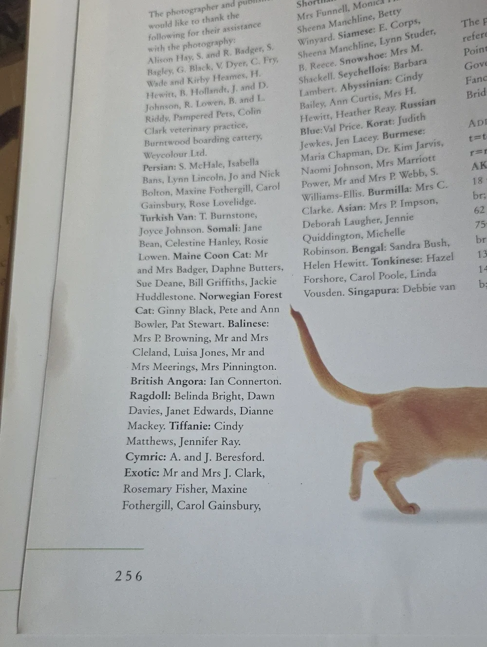 The Ultimate Encyclopedia of Cats: Cat Breeds & Cat Care — Beige Cover